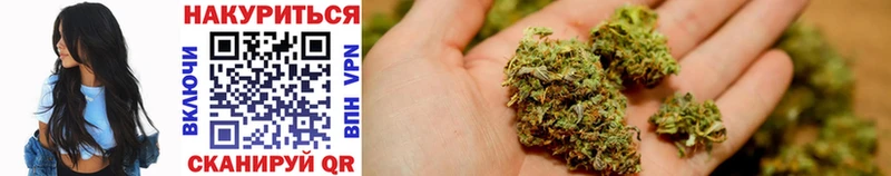 Купить закладки  Игра  Бошки марихуана OG Kush 